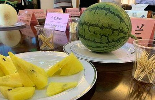 泡椒娱乐会长揭秘：娱乐圈“吃瓜”背后的真相与动向