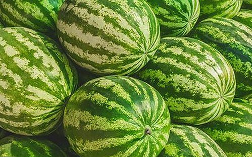 肖战：娱乐吃瓜界的焦点人物，真相与谣言交织中的身影